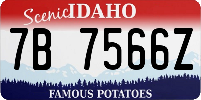ID license plate 7B7566Z