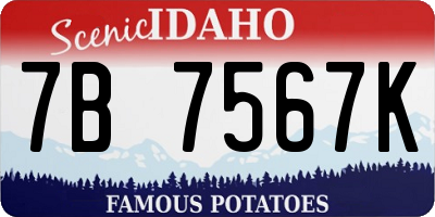 ID license plate 7B7567K