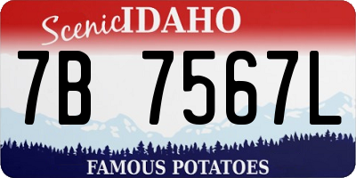 ID license plate 7B7567L