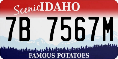 ID license plate 7B7567M