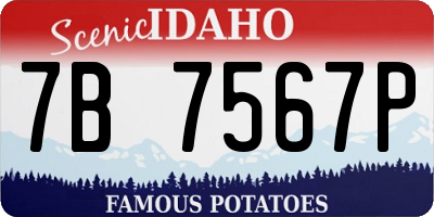 ID license plate 7B7567P