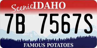 ID license plate 7B7567S
