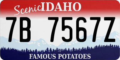 ID license plate 7B7567Z
