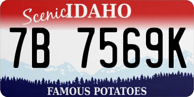 ID license plate 7B7569K