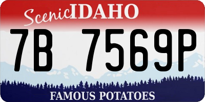 ID license plate 7B7569P