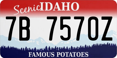 ID license plate 7B7570Z