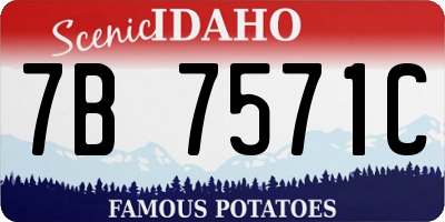 ID license plate 7B7571C