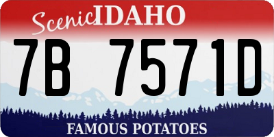 ID license plate 7B7571D