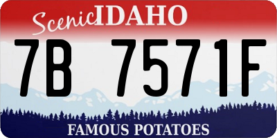 ID license plate 7B7571F