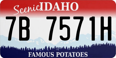 ID license plate 7B7571H