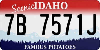 ID license plate 7B7571J