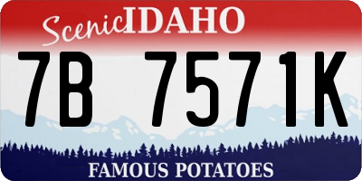 ID license plate 7B7571K