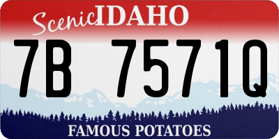 ID license plate 7B7571Q