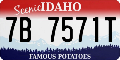 ID license plate 7B7571T