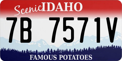 ID license plate 7B7571V