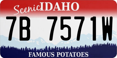 ID license plate 7B7571W