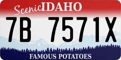 ID license plate 7B7571X
