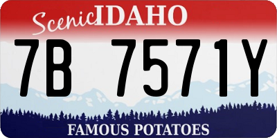 ID license plate 7B7571Y