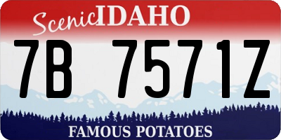 ID license plate 7B7571Z