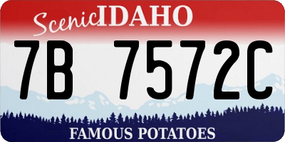 ID license plate 7B7572C