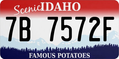 ID license plate 7B7572F