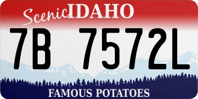 ID license plate 7B7572L