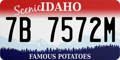 ID license plate 7B7572M