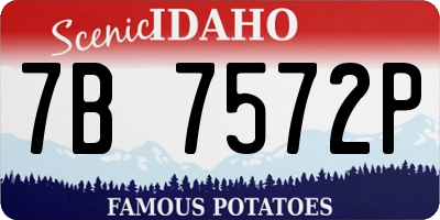ID license plate 7B7572P