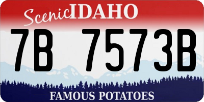 ID license plate 7B7573B
