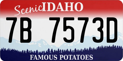 ID license plate 7B7573D