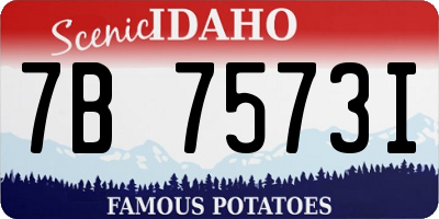 ID license plate 7B7573I