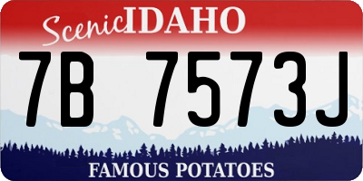 ID license plate 7B7573J