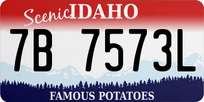 ID license plate 7B7573L