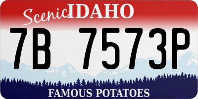 ID license plate 7B7573P