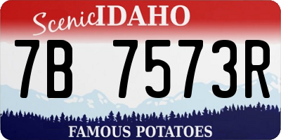 ID license plate 7B7573R