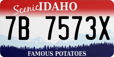 ID license plate 7B7573X