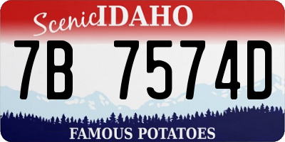 ID license plate 7B7574D
