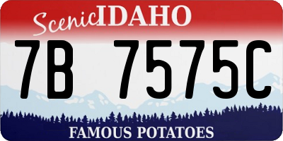 ID license plate 7B7575C