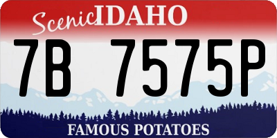 ID license plate 7B7575P