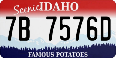 ID license plate 7B7576D