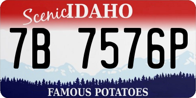 ID license plate 7B7576P