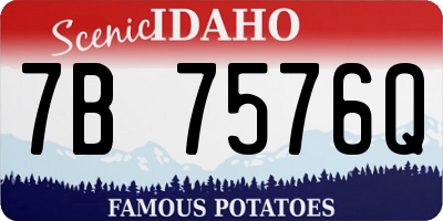 ID license plate 7B7576Q