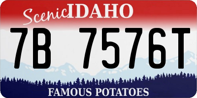 ID license plate 7B7576T