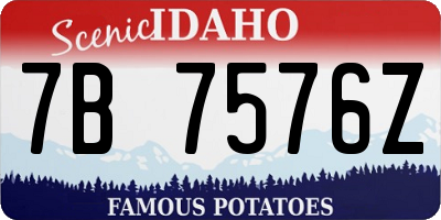 ID license plate 7B7576Z