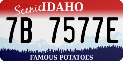 ID license plate 7B7577E