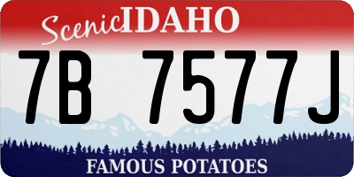 ID license plate 7B7577J