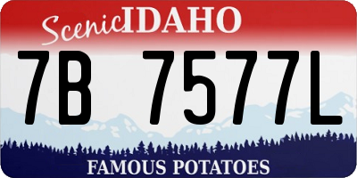 ID license plate 7B7577L