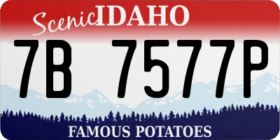 ID license plate 7B7577P
