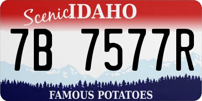 ID license plate 7B7577R