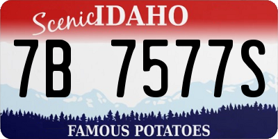 ID license plate 7B7577S